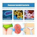 South Moon 30ml Genital Warts Ointment CreamItching Odor Fungal Infection Female Genital Care Bacteriostatic Ointment