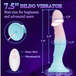 2025 NEW Remote Adult Sex Toys Dildo Vibrator Silicone Realistic Dildos 9 Vibration Modes Slim Dildo Penis Vibrator for Women%