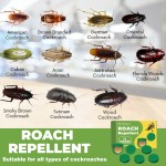 Cockroach Repellent for Household Dormitory Kitchen Cleaning Cockroach Extermination and Killing