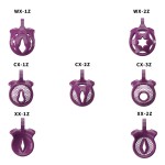 Mini Lightweight with 5 Sizes Penis Ring Man Sextoys Bdsm Small Cock Cage Male Sex Toys Chastity Device