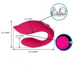 USB Powered Adult Sex Toys for Women Wearable Vibrating Panties with Dual Motors Kegel Ball & Dildo Vaginal Vibrators