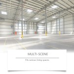 Portable Rodent Repellent Pills for Daily Rodent protection in Warehouses and Homes