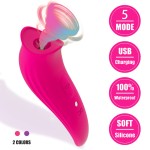 Sucker 5-speed Vibrator Honey Teasing Stimulation Magnetic Suction Charging Vibrator Adult Product