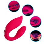 USB Powered Adult Sex Toys for Women Wearable Vibrating Panties with Dual Motors Kegel Ball & Dildo Vaginal Vibrators