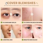 Concealer Manufacturer - Private Label Tri-Color Matte Liquid Pimple