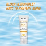 Sunscreen Cream Supplier - Sunblock Skin Protective Whitening SPF50