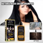 Hair Dye Shampoo Supplier - Argan Oil Nature Darkening Cover Gray