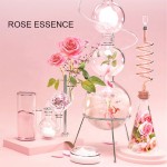 Bath Set Supplier - 6pcs Rose Extract Shampoo Shower Gel Body Lotion