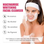 Facial Cleanser Manufacturer - Deep Cleansing Foaming Niacinamide Moisturizing