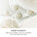 Skin Care Set Factory - OEM 14pcs Sheep Placenta Active Face Tightening