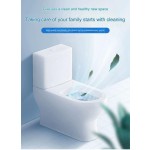 Toilet Cleaner Manufacturer - 500ml Private Brand Deodorizer Tablets