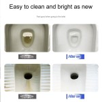 Toilet Cleaner Manufacturer - 500ml Private Brand Deodorizer Tablets