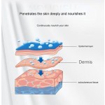 Hand Creme Factory - Hot Sale 60g Moisturize Lasting Fragrance