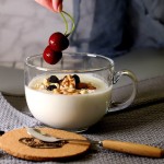 Double Wall Glass Cup Factory - Heat Resistant with Handle Boxed Mug