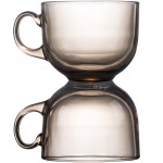 Double Wall Glass Cup Factory - Heat Resistant with Handle Boxed Mug
