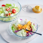 Oven Safe Pan Supplier - Wholesale Premium Eco-Friendly Square with Handle