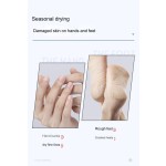 Hand Cream Supplier - Hot Sale 50g Feminine Moisturizing Cream