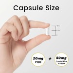 PQQ Capsules Manufacturer - OEM 20mg Coastal Pine Mitochondrial Health