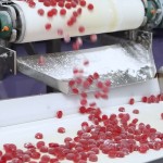 Skin Whitening Gummies Factory - Private Label Collagen Beauty Whiter