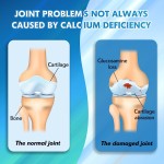 Glucosamine Capsules Manufacturer - Extra Strength Complex Healthy Joints