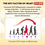 CoQ10 Capsules Supplier - 200mg 120 Softgels Heart Health Support
