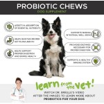 Pet Supplements Factory - OEM Private Label Probiotics Chews Cats Dogs