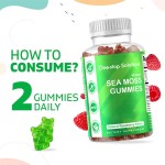 Sea Moss Gummies Supplier - Irish Vegan Bladderwrack Burdock Root