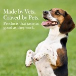 Joint Chews Manufacturer - with Glucosamine Chondroitin MSM Omega