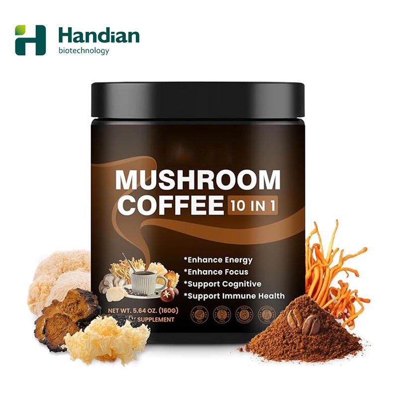 Mushroom Coffee Powder Manufacturer - 10 Mushroom Blend Lion's Mane Energy