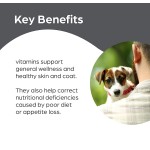 Probiotic Chews Manufacturer - ODM Salmon Oil Dogs Cats Skin Coat