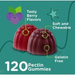 Probiotics Gummies Manufacturer - Sugar Free 2 Billion CFU Immune Digestive