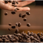 Mushroom Coffee Powder Manufacturer - 10 Mushroom Blend Lion's Mane Energy