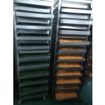 Glucosamine Capsules Manufacturer - with Chondroitin Turmeric MSM Joint