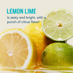 Hydration Powder Supplier - Vegan Lemon Lime Electrolyte Multivitamin