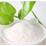 Probiotics Powder Manufacturer - OEM Lactobacillus Acidophilus Enzyme Shake