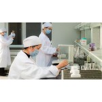 Glucosamine Capsules Manufacturer - with Chondroitin Turmeric MSM Joint