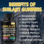 Shilajit Capsules Manufacturer - Food Grade Humic Acid Mineral Supplement