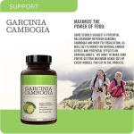 Garcinia Cambogia Capsules Manufacturer - Private Label Slimming Supplement