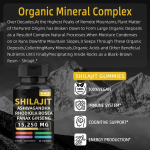 Shilajit Capsules Manufacturer - Food Grade Humic Acid Mineral Supplement