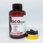 Hip Enlargement Capsules Manufacturer - Organic Maca Extract Supplement