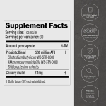 GLP-1 Capsules Manufacturer - Probiotic Gut Health Appetite Control