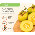 Garcinia Cambogia Capsules Manufacturer - Private Label Slimming Supplement