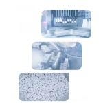 Male Enhancement Capsules Supplier - OEM Climax Intensity Supplement