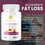 Wellness Capsules Factory - Daily Fat Burning Energy Support Supplement