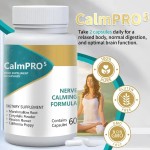 Nerve Health Capsules Supplier - Herbal Extract Vitamin-Infused Formula