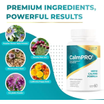 Nerve Health Capsules Supplier - Herbal Extract Vitamin-Infused Formula