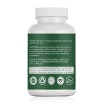 Echinacea Capsules Manufacturer - 400mg Vegetarian Immune System Support
