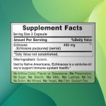 Echinacea Capsules Manufacturer - 400mg Vegetarian Immune System Support