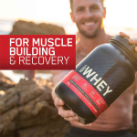 Whey Protein Powder Supplier - Gold Standard Chocolate Bulk Nutrition