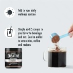 Creatine Monohydrate Powder Supplier - 99.5% Pure Muscle Growth Support